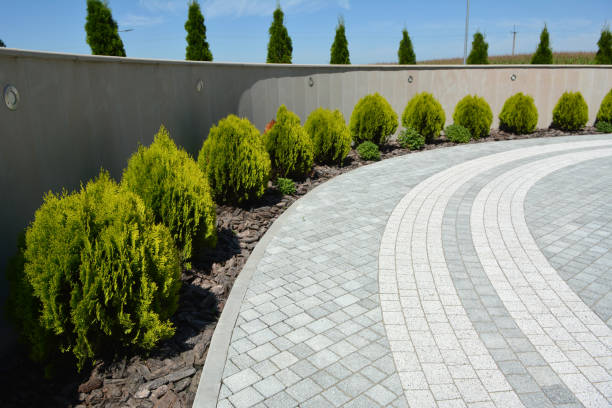 Best Driveway Pavers Near Me  in Rutherford, TN